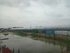 -南汇老顾农家乐采摘大团水蜜桃采摘店