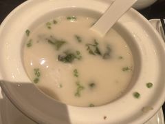-万豪中餐厅·粤菜·北京粤财JW万豪酒店