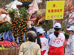 -越秀西湖花市(广州城市广场花卉店)