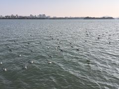 -无锡蠡湖国家湿地公园-蠡园