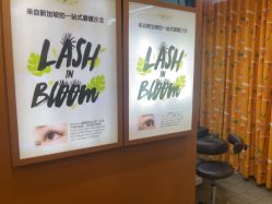 -Browhaus眉睫沙龙