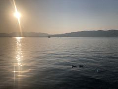 -西湖游船