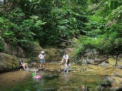 -鼎湖山风景区