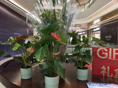 -合景·悠方(成都店)