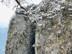 -重庆小天鹅火锅(中商广场店)