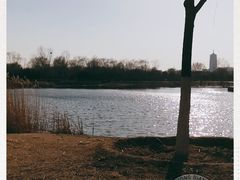 -永定河休闲森林公园