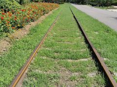 -永定河休闲森林公园