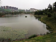 -枫香湖儿童公园