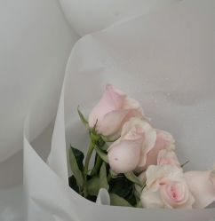 -迈瑞米求婚策划(静安店)