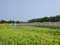 -天津东丽湖风景区