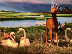 -中国湿地博物馆