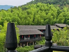-大唐贡茶院