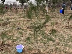 -汉长安城未央宫国家考古遗址公园