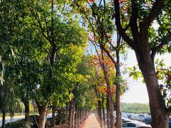 -艾溪湖湿地公园