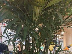 -三江源活鱼现烤(维多利摩尔城店)