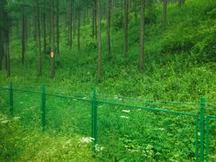 -塞罕坝国家级自然保护区