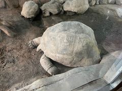 -太原动物园