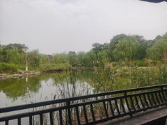 -日出青木·杭帮菜名店