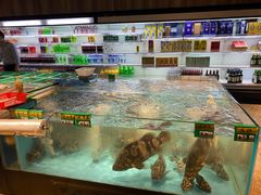 -海蓝海鲜馆(五四北店)