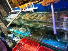 水产区-东记炭炉·海鲜鸡煲(龙华店)