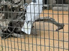 -石家庄市动物园