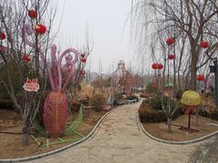 -南宫五洲植物乐园