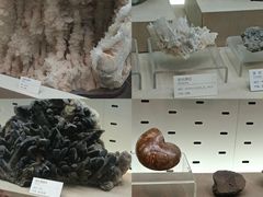 -浙江自然博物院(杭州馆)