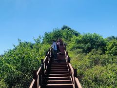 -大岭沟猕猴桃谷风景区