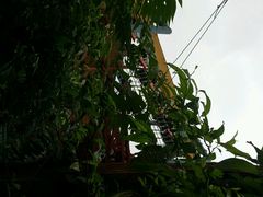 android_upload_pic-北京欢乐谷