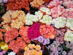 -双季花艺园艺市场(浦东店)