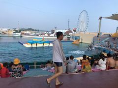 -秦皇岛乐岛海洋王国