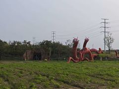 -杭州湾海上花田景区