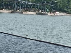 -尚贤河湿地