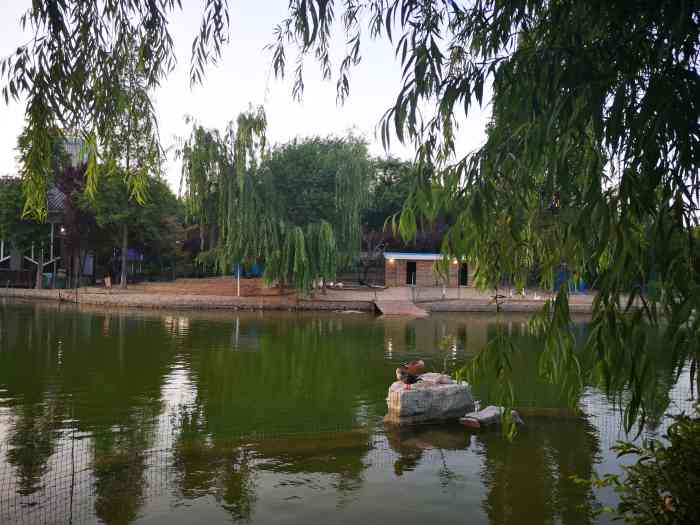 乐安公园-"今天逛街,偶然在乐安广场发现一个卖冰粉的.