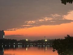 -鹤之洲湿地公园
