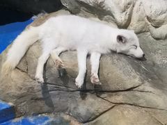 -顺德南宏海立方海洋公园