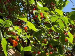 -boundaries籬苑(瑞光创意工厂-贰号院店)