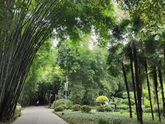 -望江楼公园