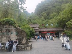-大七孔景区-天生桥