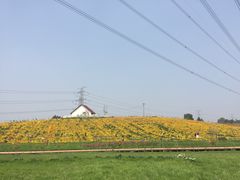 -紫颐香薰山谷景区