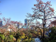-广州中山纪念堂