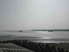-江滩湿地公园