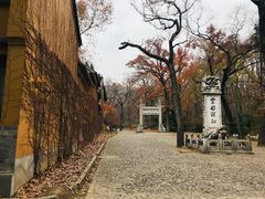 -灵谷景区