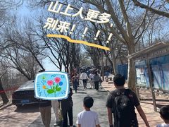 -白水寺森林公园