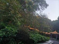 -广州市帽峰山景区