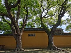 -西园戒幢律寺