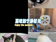 -动物缘宠物医院·骨科·猫科(西二环店)