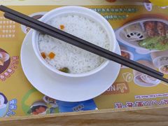 -美食小镇·观赏珍稀鸟类·长隆熊猫酒店