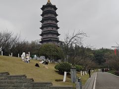 -重庆园博园