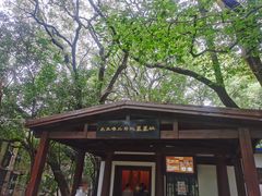 -马王堆汉墓遗址